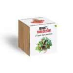 10750991_minibel_paradicsom_novenyem_fa_kaspoban.jpg Minibel paradicsom növényem fa kockában