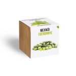 10750993_mexikoi_egerdinnye_novenyem_fa_kaspoban.jpg Mexikói egérdinnye növényem fa kockában