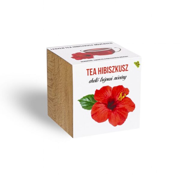 10751002_tea_hibiszkusz_novenyem_fa_kaspoban.jpg Tea Hibiszkusz növényem fa kockában