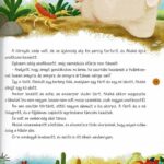 Utazz 80 mesével a Föld körül