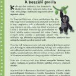 Történetek híres állatokról