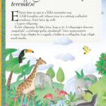 Történetek a Bibliából gyerekeknek
