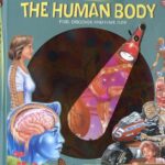 Torch Book - The Human Body