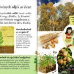 Olvass velünk! (2) - A növények titkai