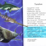 Olvass velünk! (2) - A cápák világa