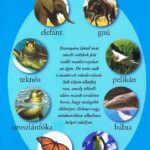 Olvass velünk! (1) - Vándorló állatok