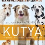Legjobb barátunk, a kutya
