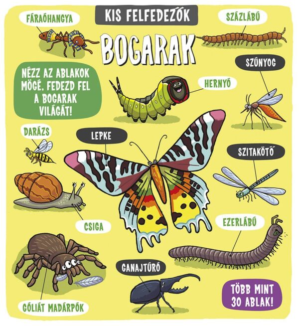 120499233_2935.jpg Kis felfedezők - Bogarak