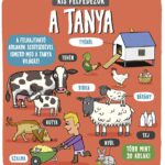 Kis felfedezők - A tanya