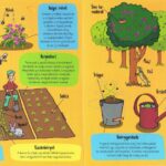 Kis felfedezők - A tanya