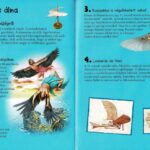 101 dolog, amit jó, ha tudsz a repülőkről