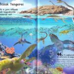120500592_2989_altpic_1.jpg 101 dolog, amit jó, ha tudsz a dinoszauruszokról