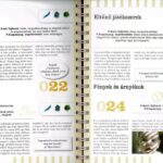 Neveljünk egészséges gyereket - 365 fejlesztő játék 3 éves korig (ÚJ)