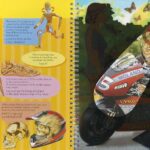 Torch Book - The Human Body