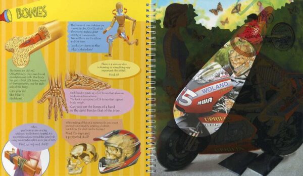 Torch Book - The Human Body