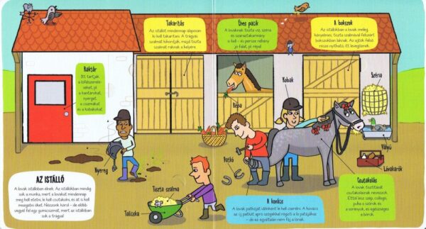 Kis felfedezők - A tanya