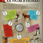 Zseblámpával - A vikingek nyomában