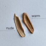 Perfect Skin BB Cream 4IN1 Warm 50ML