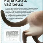Varázslatos útmutató a macskákhoz