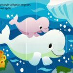 Ki bújt el? Bálnák