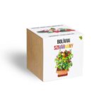 28663206_boliviai-szivarvany-chili-paprika-novenyem_novenyem_fa_kaspoban.jpg Bolíviai szivárvány chili paprika növényem fa kockában