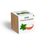 28663219_stevia_novenyem_fa_kaspoban.jpg Stevia növényem fa kockában