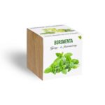 28989710_borsmenta_novenyem_fa_kaspoban.jpg Borsmenta növényem fa kockában