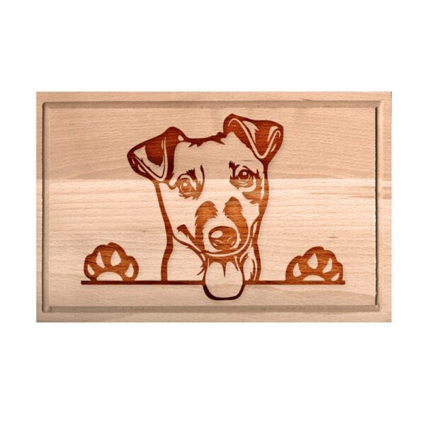Jack Russell terrier - kicsi