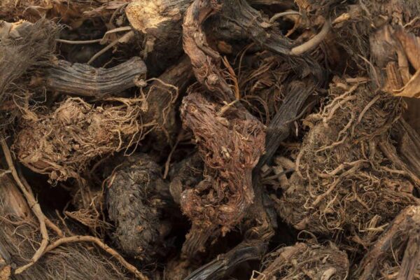 Spikenard Organic - Organikus Nárd illóolaj