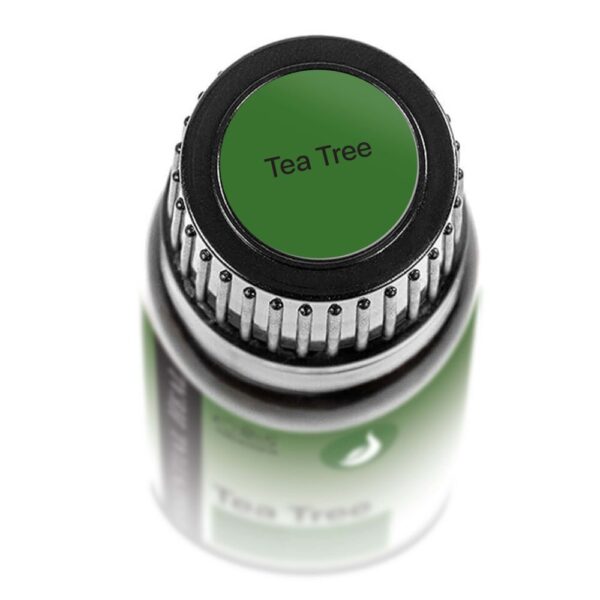 Tea Tree illóolaj - Teafa illóolaj