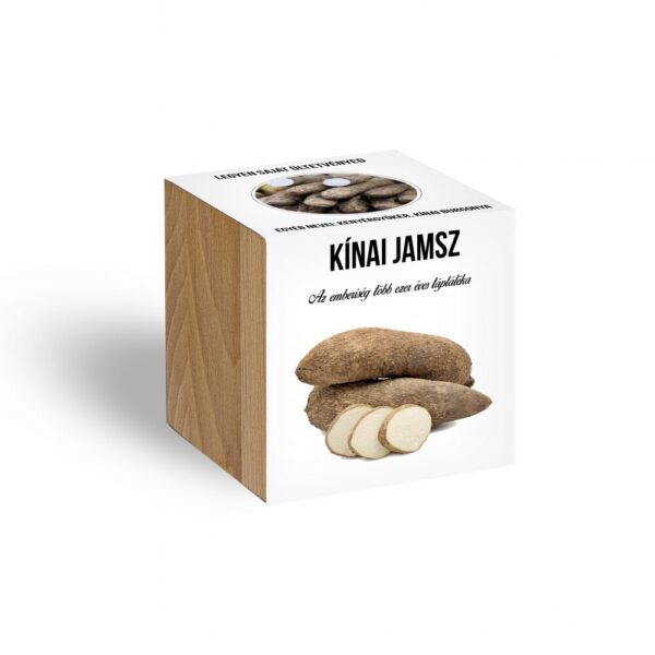 59900582_jamsz_novenyem_fa_kaspoban.jpg Kínai jamsz növényem fa kockában