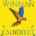108241884_9789635683741.png Csendélet - Éldekorált