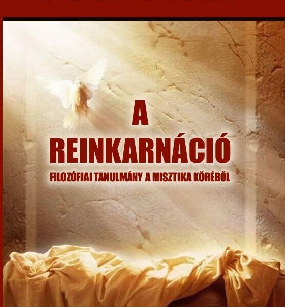 116804245_9786156432421.jpg Reinkarnáció