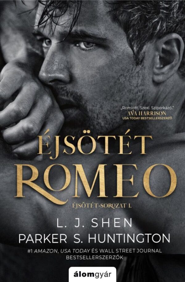 119729464_9789635708857.jpg Éjsötét Romeo