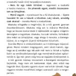 120497810_2805_altpic_3.jpg Ubukubu Zűrkalandjai 1. - Űrszörnyű és a különleges képességek