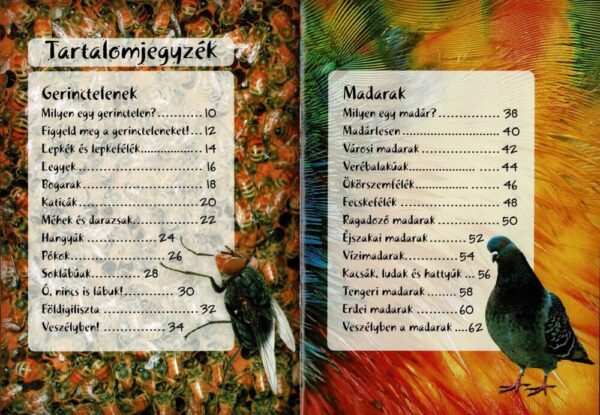 120498266_3618_altpic_1.jpg Séta a természetben
