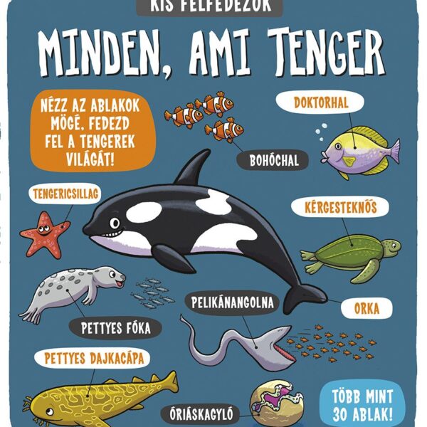 120499213_2936.jpg Kis felfedezők - Minden, ami tenger