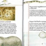 120499333_1727_altpic_3.jpg Kérdések és feleletek könyve