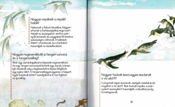120499334_1727_altpic_4.jpg Kérdések és feleletek könyve