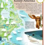 120499351_1599_altpic_2.jpg Képes atlasz gyermekeknek - Állatok a világban matricákkal