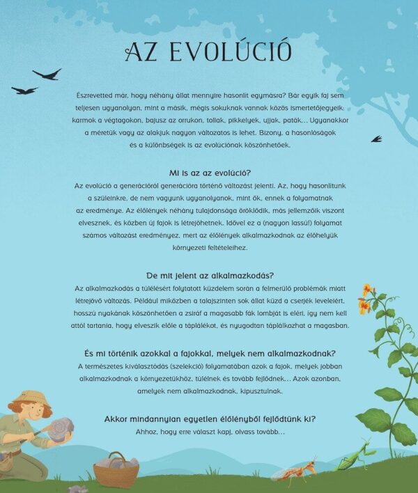 Az evolúció