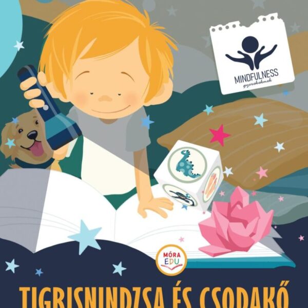 Tigrisnindzsa és csodakő