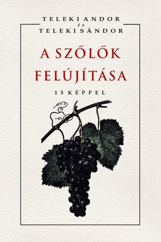 120882638_a_szolok_felujitasa.jpg A szőlők felújítása