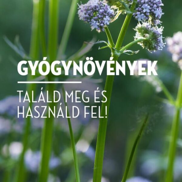 Gyógynövények