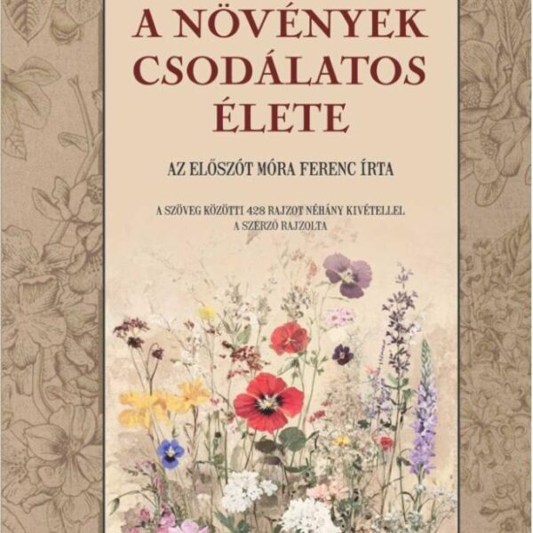 121754050_4645298.jpg A növények csodálatos élete