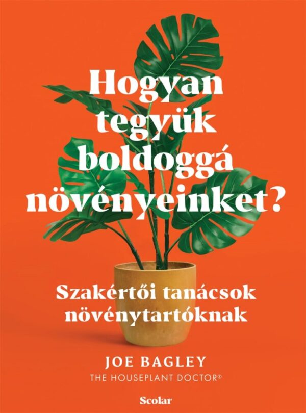 121964430_hogyan_tegyuk_boldogga_novenyeinket.jpg Hogyan tegyük boldoggá növényeinket?