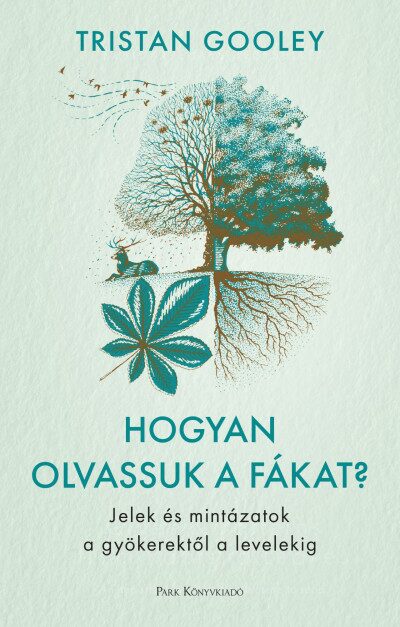 122045575_12212021_5.jpg Hogyan olvassuk a fákat?