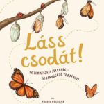 Láss csodát!