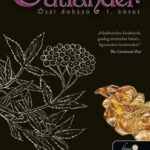 Outlander 4. - Őszi dobszó I-II. kötet
