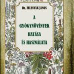 A gyógynövények hatása és felhasználása